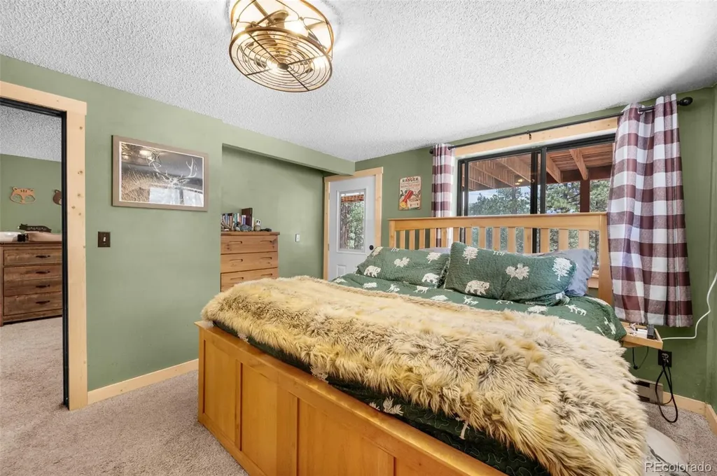 153 Arrowrock Circle Florissant CO 80816