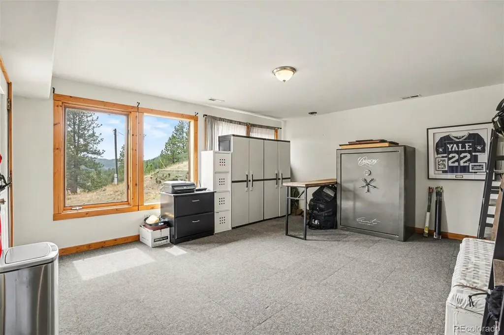 220 Rocky Mountain View Divide CO 80814