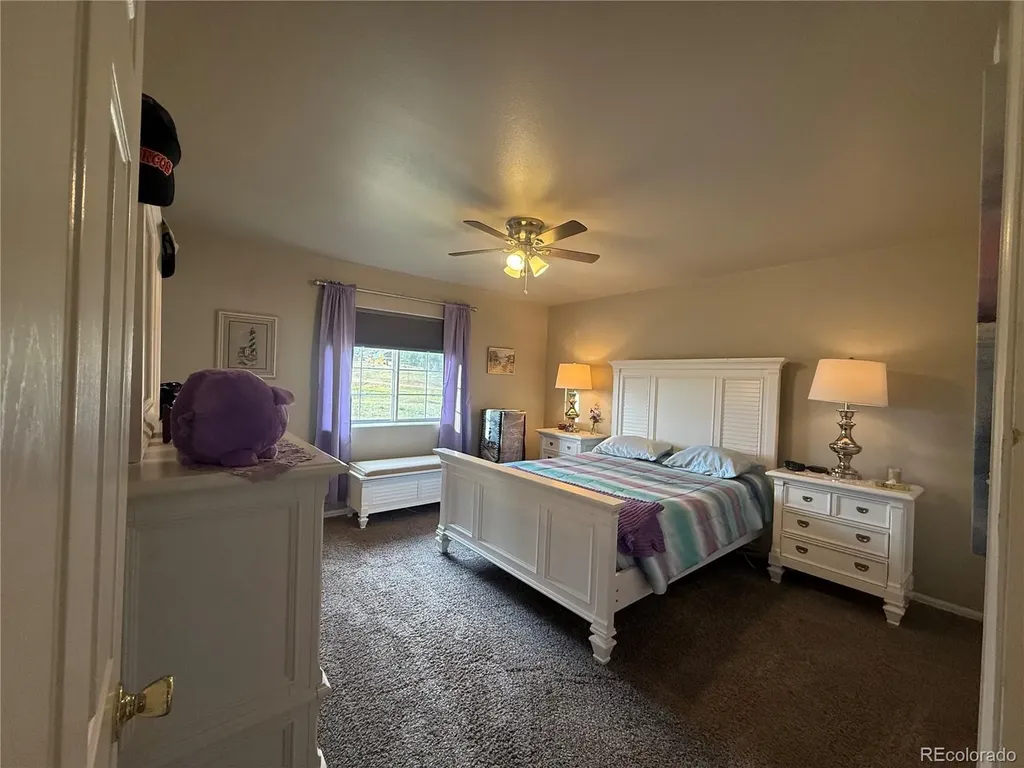 17 Garfield Circle Florissant CO 80816