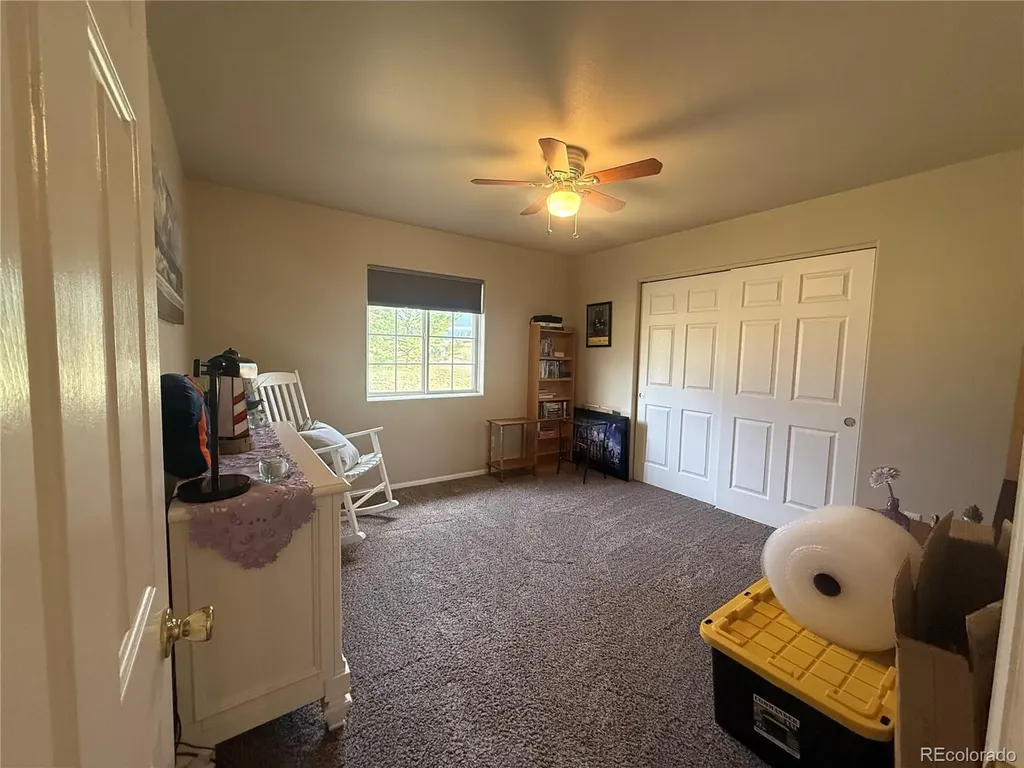17 Garfield Circle Florissant CO 80816