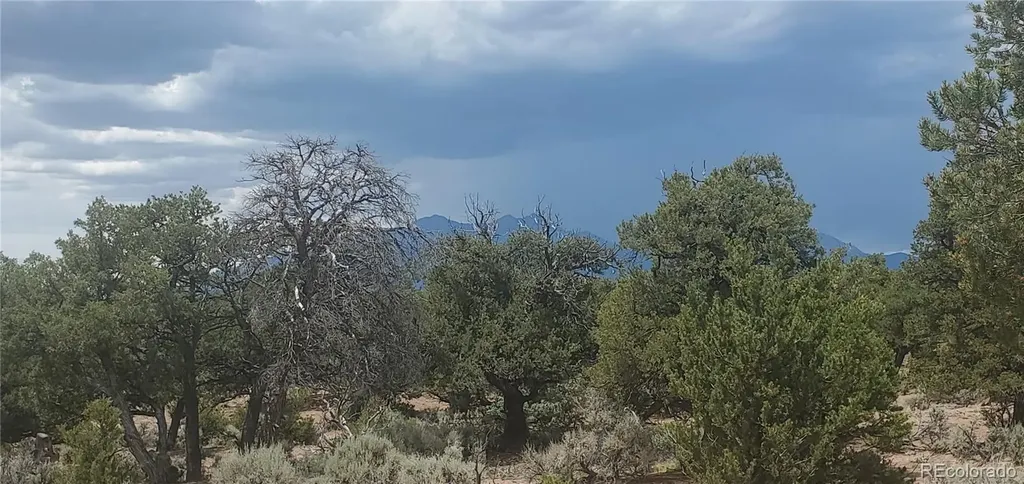 LOT3696 Branch Road Fort Garland CO 81133