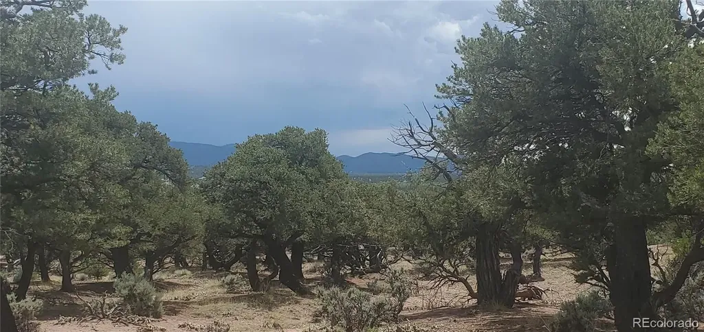 LOT3696 Branch Road Fort Garland CO 81133