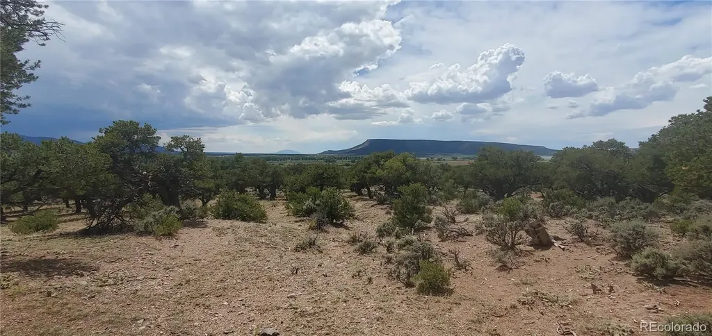 LOT3696 Branch Road Fort Garland CO 81133