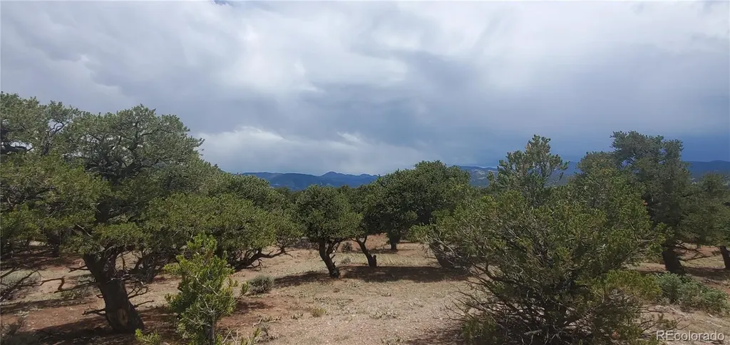 LOT3696 Branch Road Fort Garland CO 81133