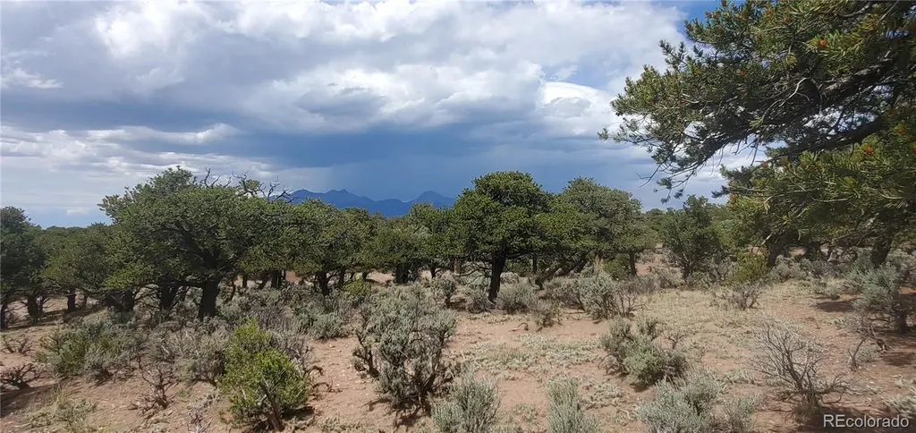 LOT3696 Branch Road Fort Garland CO 81133
