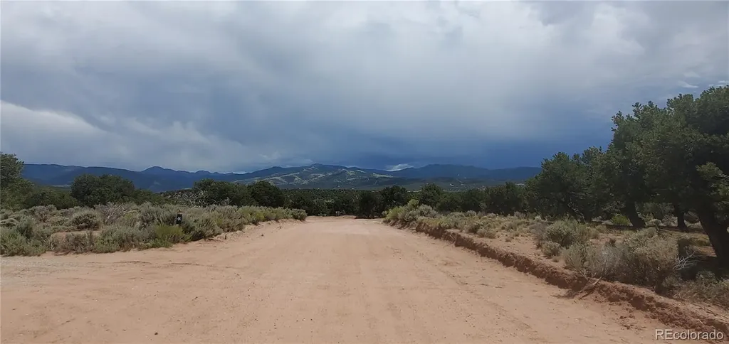 LOT3696 Branch Road Fort Garland CO 81133