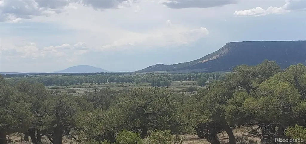 LOT3696 Branch Road Fort Garland CO 81133