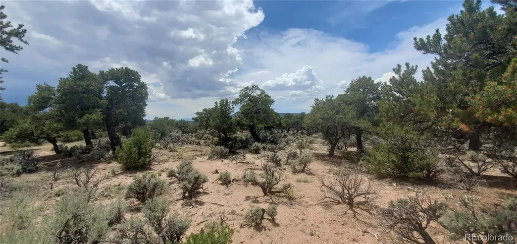 LOT3696 Branch Road Fort Garland CO 81133