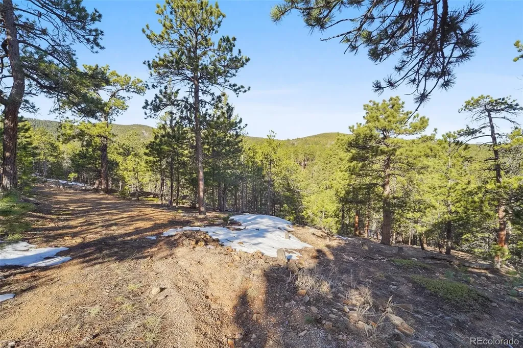 854 Crescent Lake Road Golden CO 80403