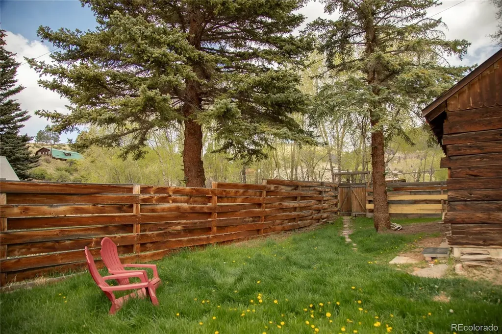 103 W 10 1/2 Street Creede CO 81130