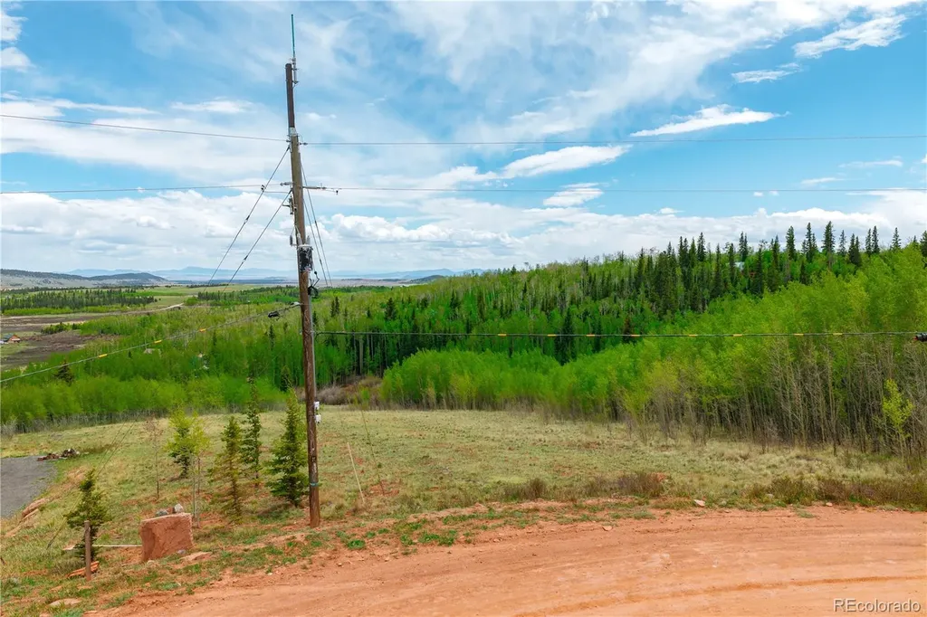 562 Palmer Peak Drive Fairplay CO 80440