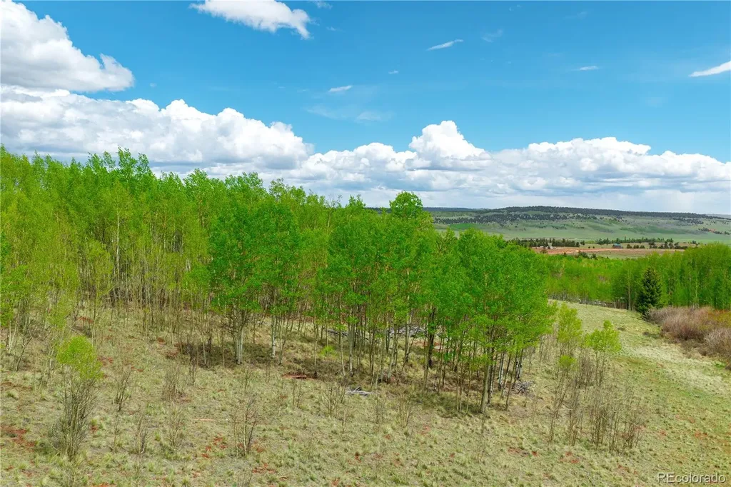 562 Palmer Peak Drive Fairplay CO 80440
