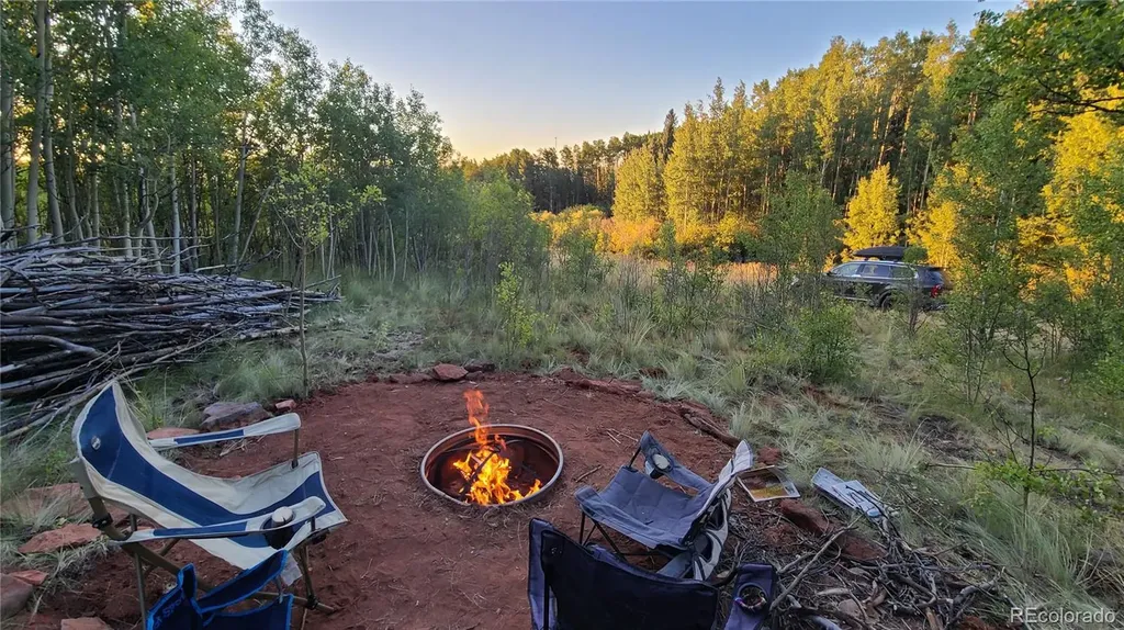 562 Palmer Peak Drive Fairplay CO 80440