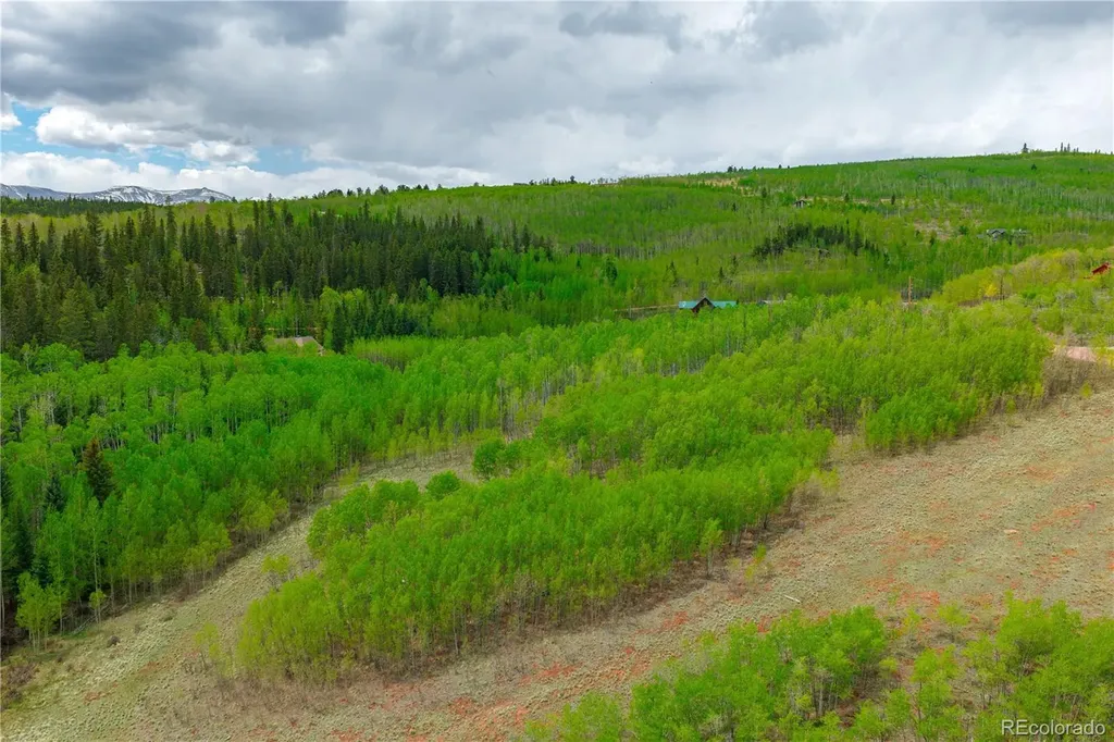 562 Palmer Peak Drive Fairplay CO 80440