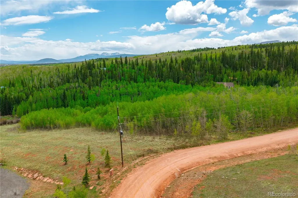 562 Palmer Peak Drive Fairplay CO 80440