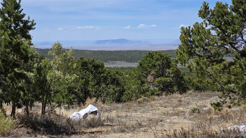 1380 Dunn Road San Luis CO 81152