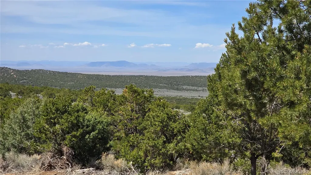 1380 Dunn Road San Luis CO 81152