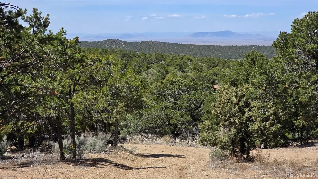 1380 Dunn Road San Luis CO 81152