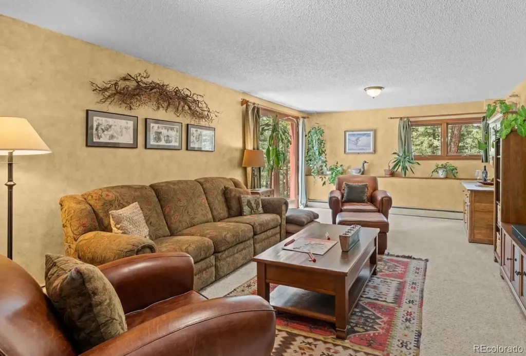 370 High View Circle Woodland Park CO 80863