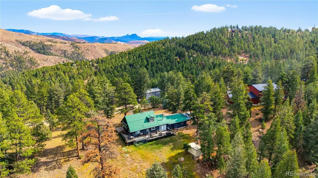 243 Hi Meadow Drive Bailey CO 80421