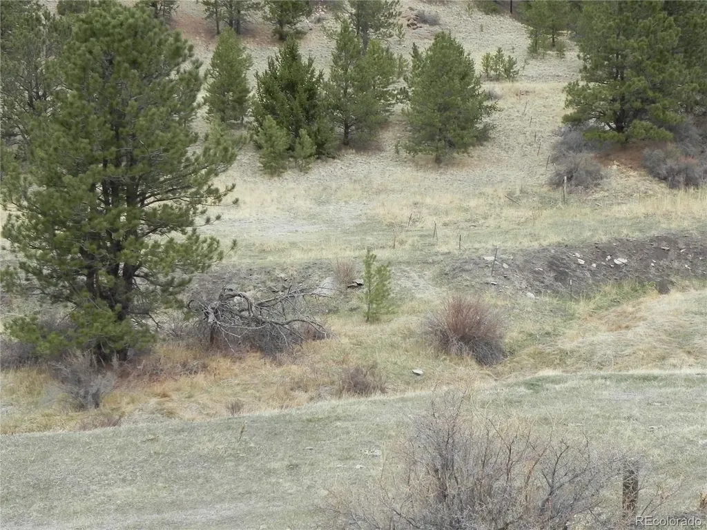 521 Monarch Drive Cripple Creek CO 80813
