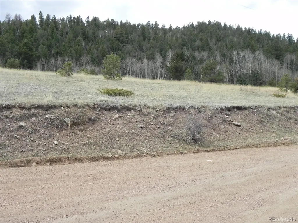 521 Monarch Drive Cripple Creek CO 80813