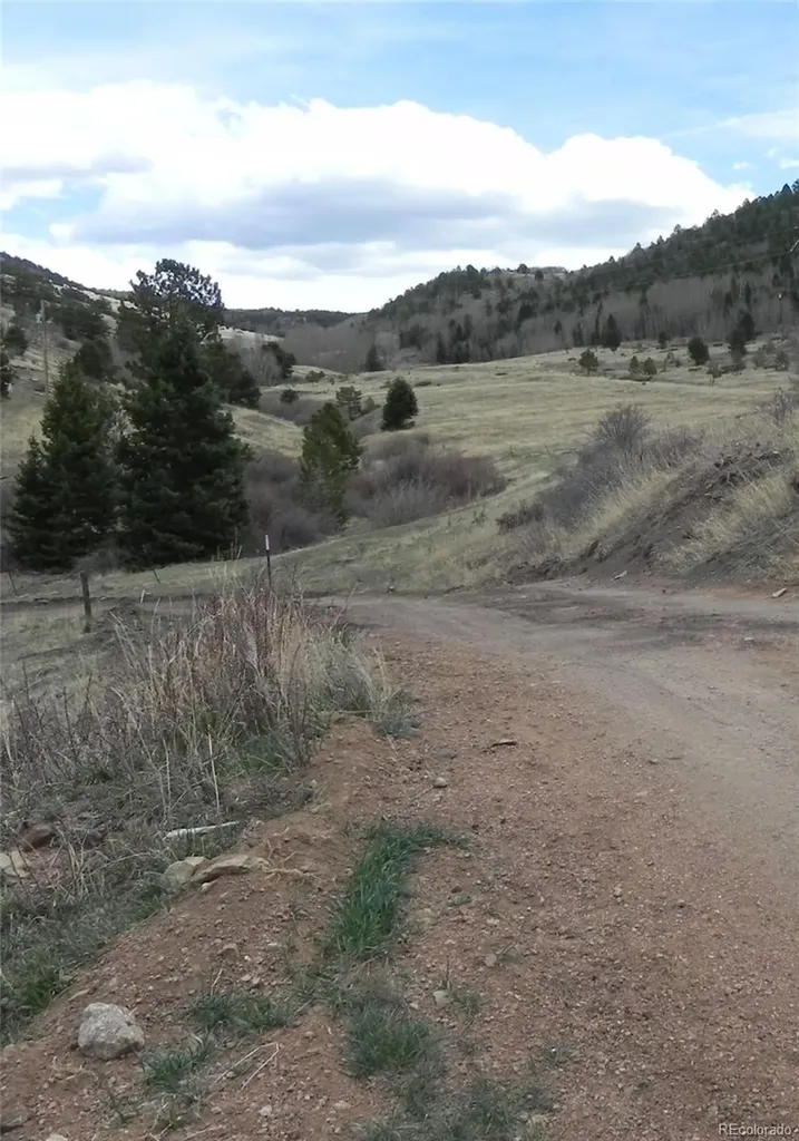521 Monarch Drive Cripple Creek CO 80813