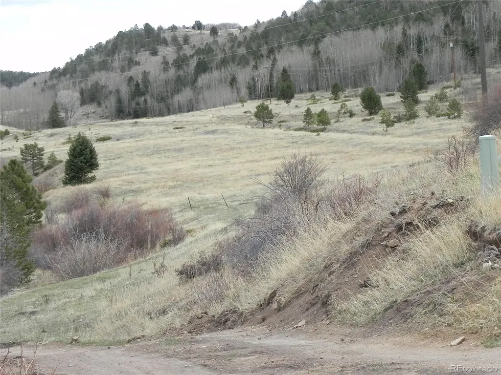 521 Monarch Drive Cripple Creek CO 80813