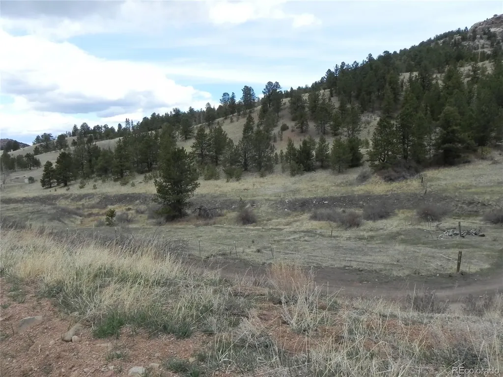 521 Monarch Drive Cripple Creek CO 80813