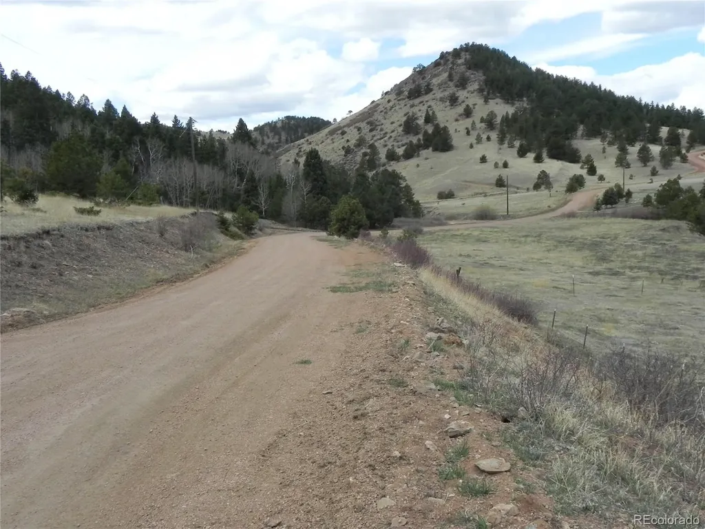 521 Monarch Drive Cripple Creek CO 80813