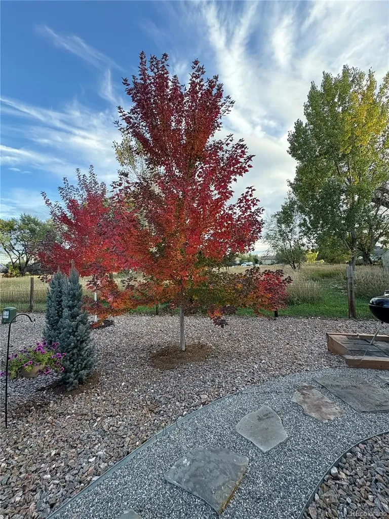 8652 W 49th Place Arvada CO 80002