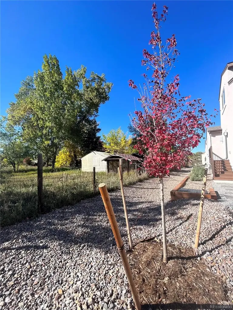8652 W 49th Place Arvada CO 80002