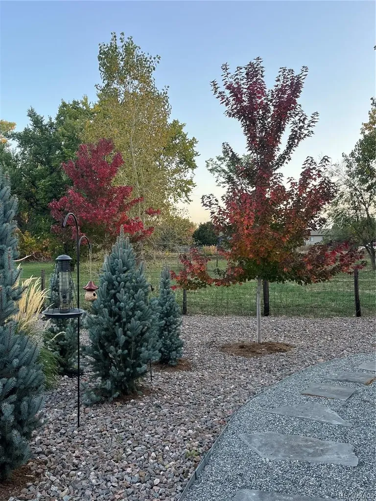 8652 W 49th Place Arvada CO 80002