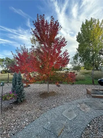 8652 W 49th Place Arvada CO 80002