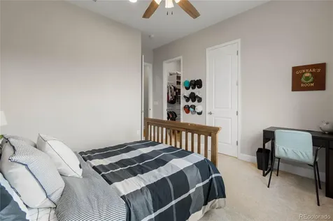 4227 Hickory Oaks Street Castle Rock CO 80104