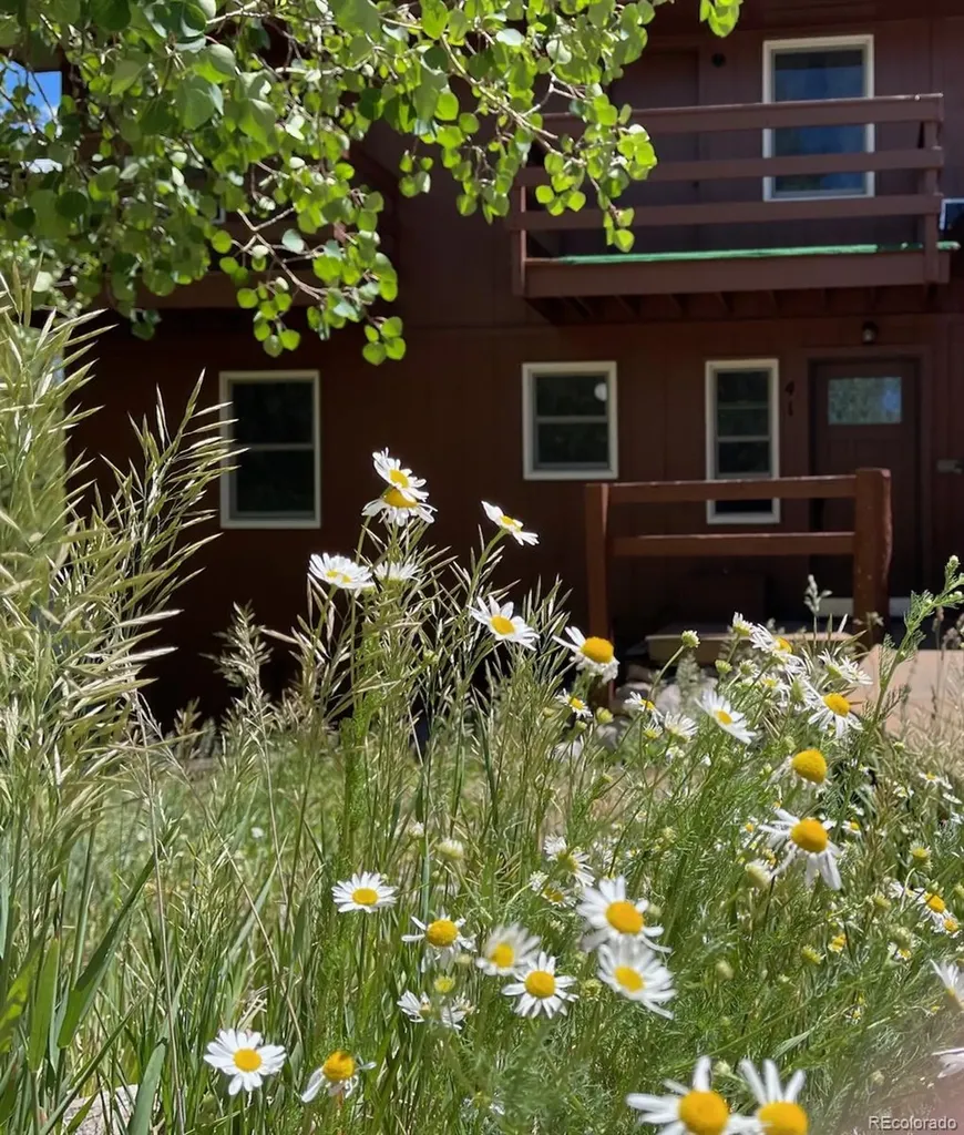 41 Poplar Circle Silverthorne CO 80498