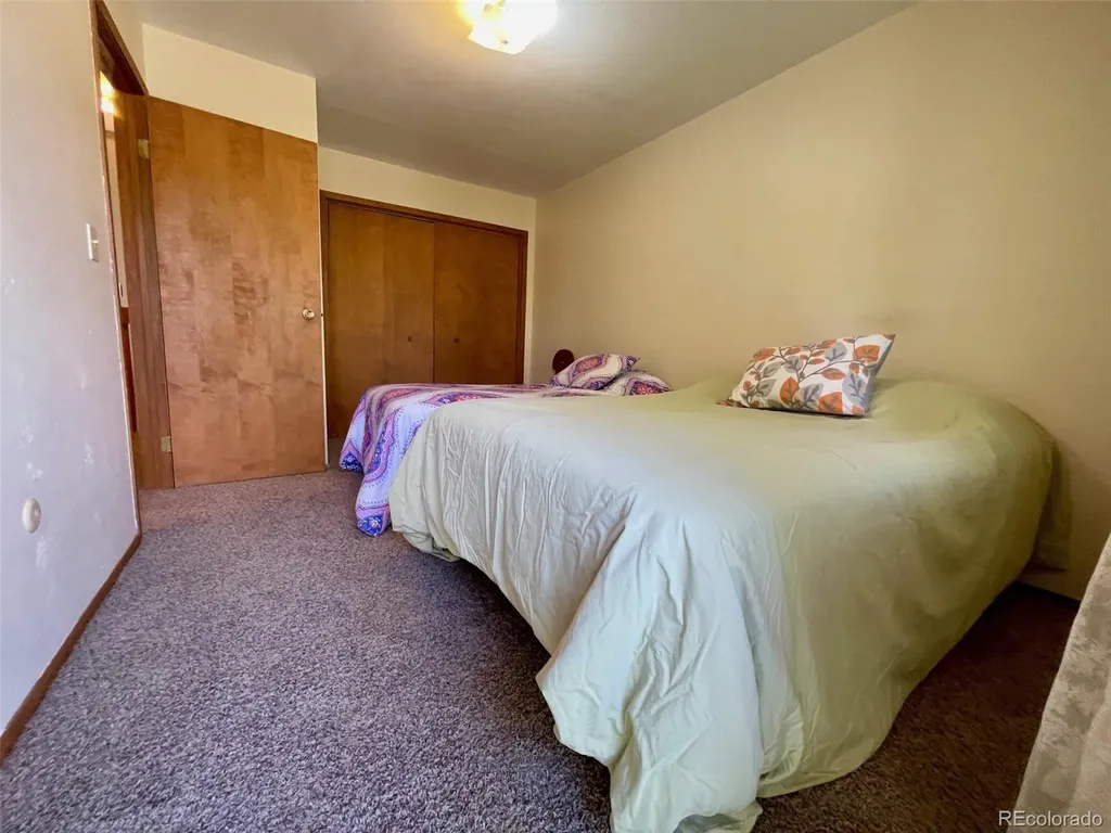 41 Poplar Circle Silverthorne CO 80498