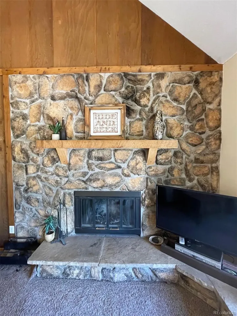 41 Poplar Circle Silverthorne CO 80498