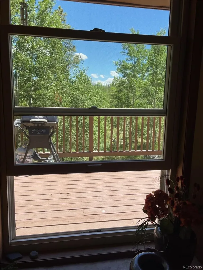 41 Poplar Circle Silverthorne CO 80498