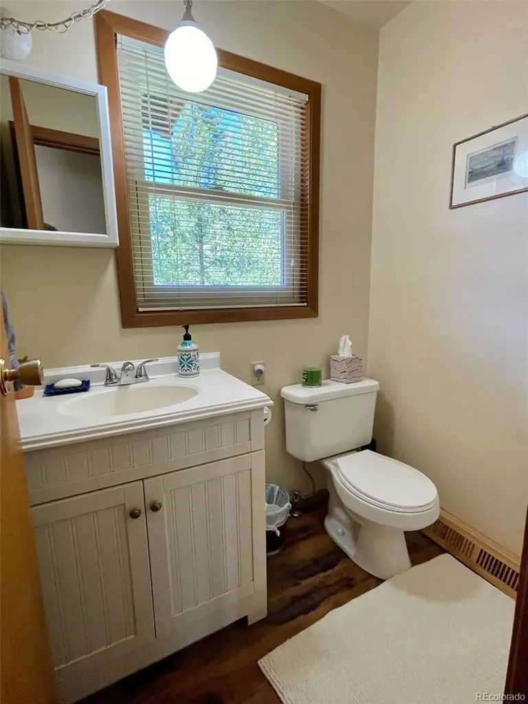 41 Poplar Circle Silverthorne CO 80498