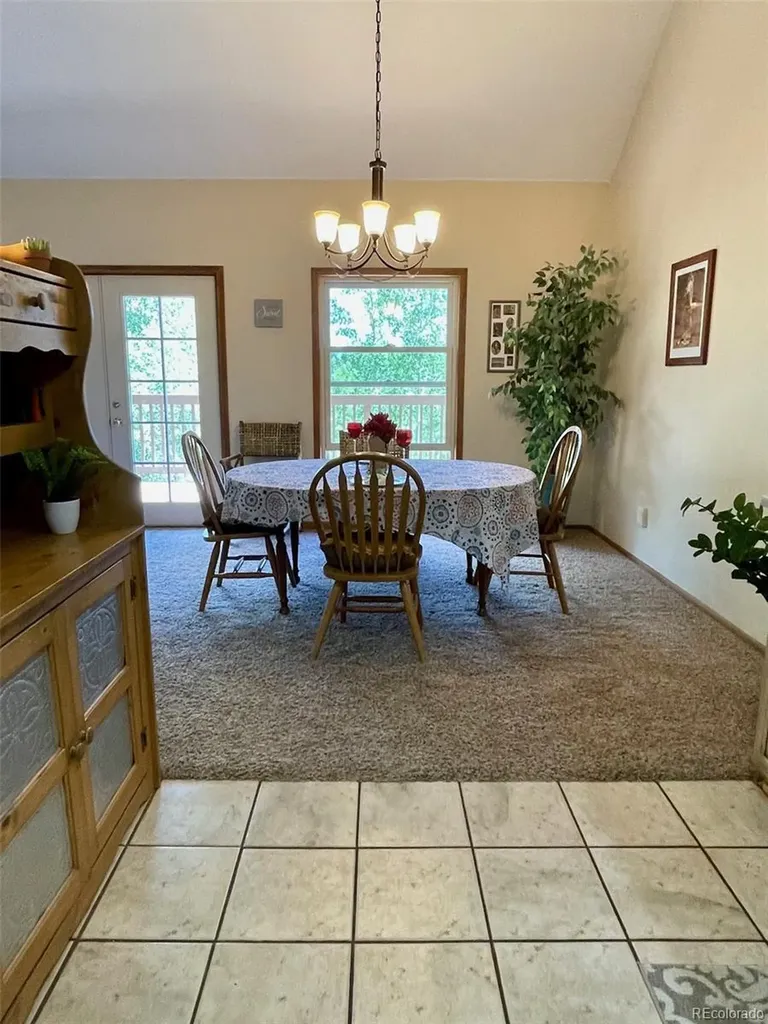 41 Poplar Circle Silverthorne CO 80498