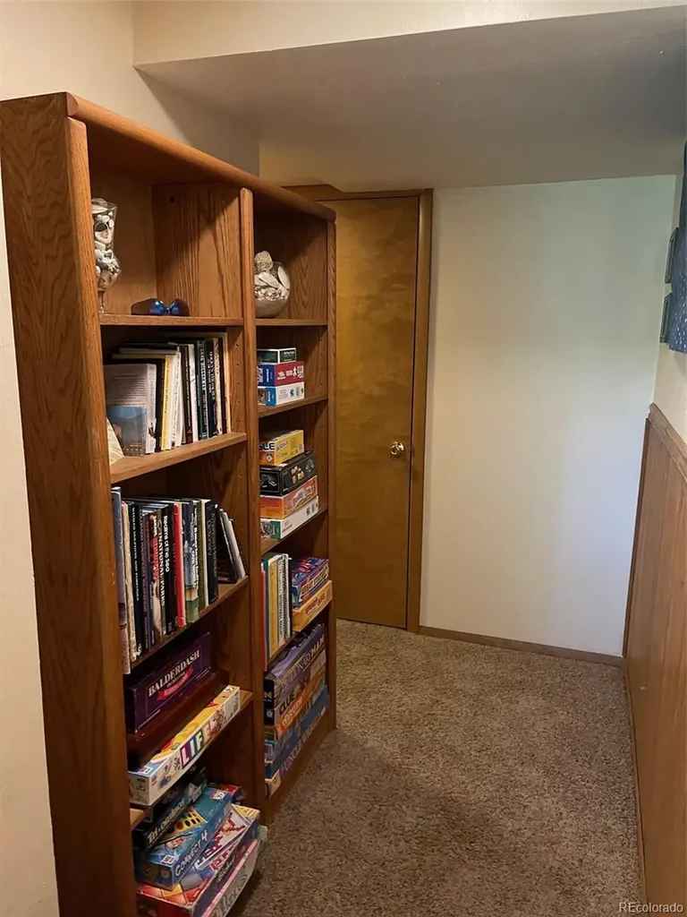 41 Poplar Circle Silverthorne CO 80498