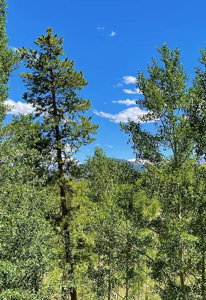 41 Poplar Circle Silverthorne CO 80498