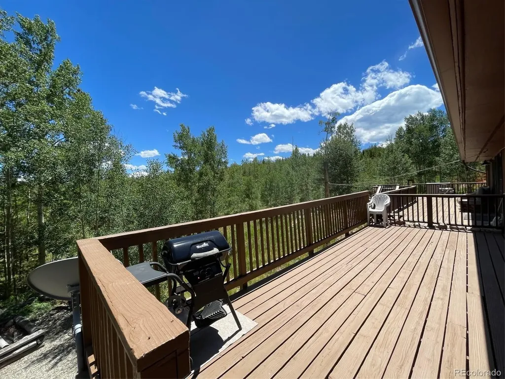 41 Poplar Circle Silverthorne CO 80498