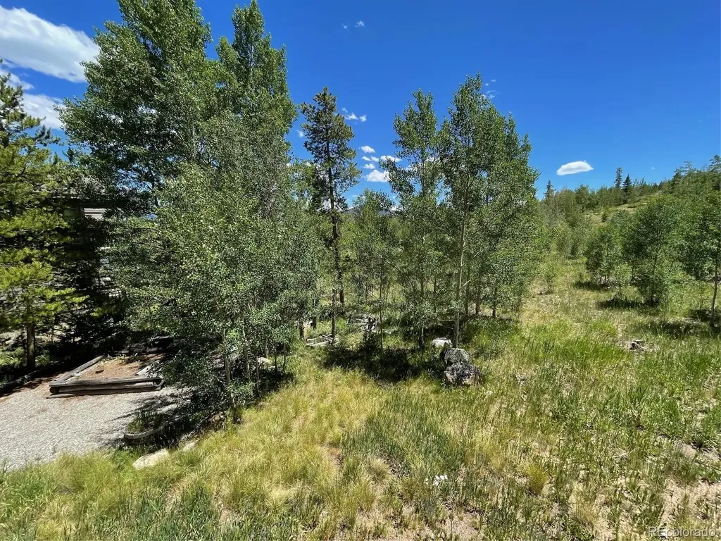 41 Poplar Circle Silverthorne CO 80498