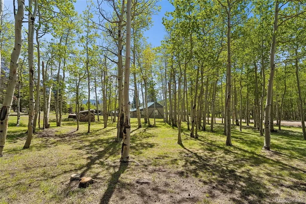 1763 Lump Gulch Road Black Hawk CO 80422