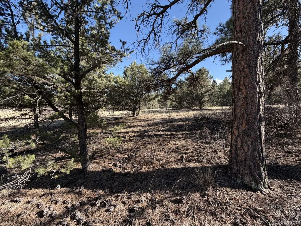 000 Canyon Road Cotopaxi CO 81223