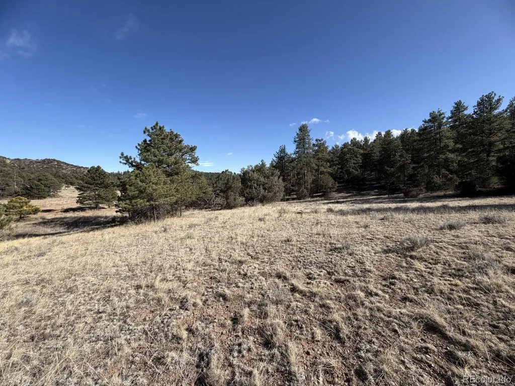 000 Canyon Road Cotopaxi CO 81223