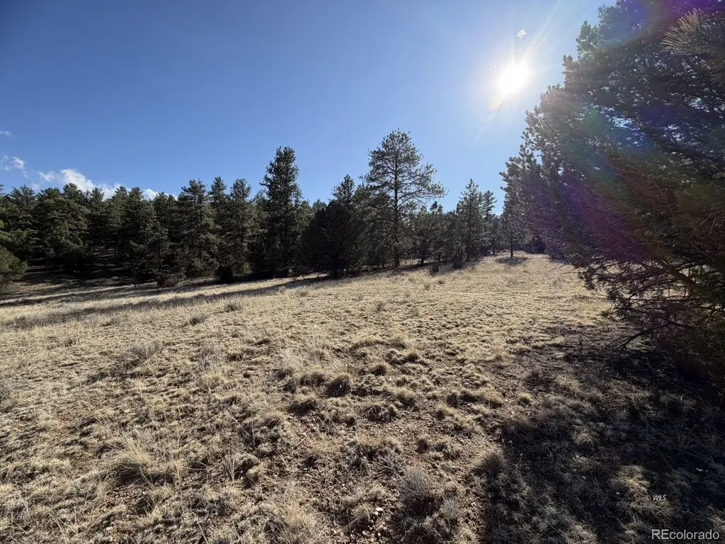 000 Canyon Road Cotopaxi CO 81223