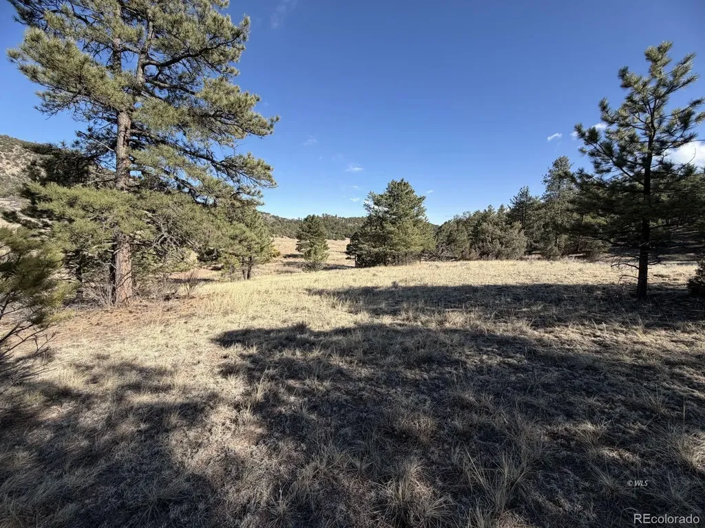 000 Canyon Road Cotopaxi CO 81223